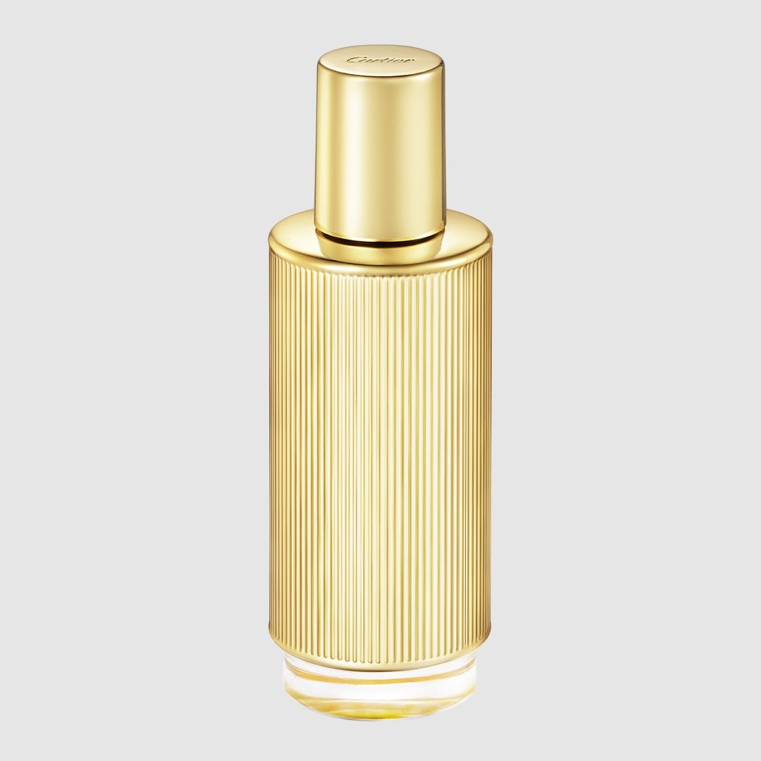 Best Body Oil
